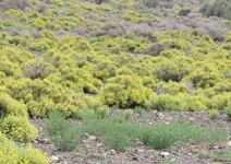 ۹ میلیارد ریال تسهیلات برای حمایت از توسعه منابع طبیعی پرداخت شد