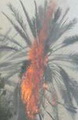 گرمای هوا و ۱۰ مورد آتش سوزی در میناب
