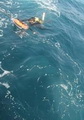 نجات جان ۱۰ نفر غواص در آب های مواج جزیره لارک