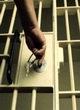 آزادی ۵۶ زندانی جرایم غیرعمد از زندان‌های هرمزگان