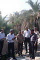 رئیس سازمان جهاد کشاورزی از چشمه‌های بستک بازدید کرد