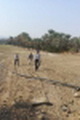 رفع تصرف ۱۰ هزار متر مربع از اراضی ملی منطقه فاریاب‎