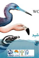 پیام مدیرکل حفاظت محیط زیست هرمزگان در روز جهانی پرندگان مهاجر