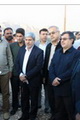 بازدید استاندار و رییس سازمان جهادکشاورزی از مزارع و نخلستان های فین