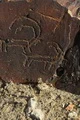 سنگ نگاره های دهتل بستک مهمان موزه ملی