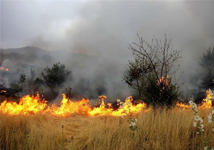 آتش سوزی بیش از۴میلیارد ریال به باغهای میناب خسارت زد