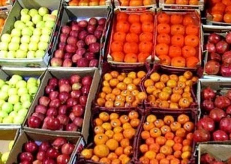 صادرات ۵۵۹ هزار تنی محصولات کشاورزی استان هرمزگان