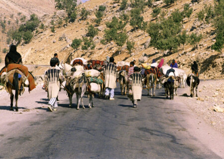 کوچ ۸۰۰ خانوار عشایری از کرمان به هرمزگان