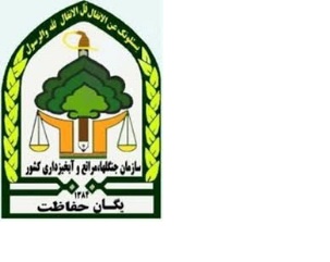 تخریب ۲ باب کوره ذغال در شهرستان بندرلنگه