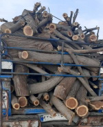 کشف و ضبط محموله یک و نیم تنی چوب غیرمجاز در شهرستان بندرعباس