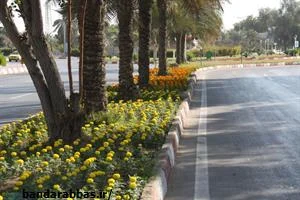 بهسازی بیش از ۶۰ هزار متر مربع فضای سبز در بندرعباس