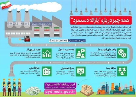 فراهم شدن زمینه اشتغال بیش از ۵۰۰ نفر با طرح یارانه دستمزد در هرمزگان