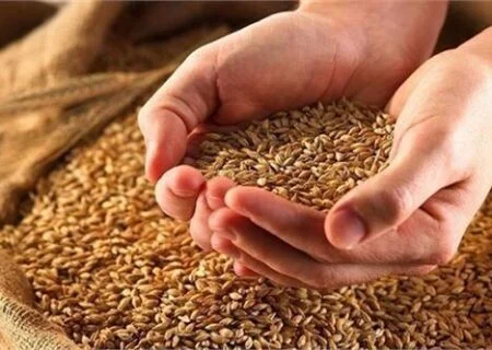 جمع‌آوری ۲۶ میلیارد و ۸۰۰ میلیون تومان زکات در هرمزگان