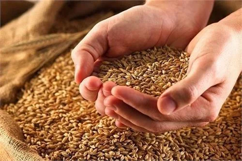 جمعآوری ۲۶ میلیارد و ۸۰۰ میلیون تومان زکات در هرمزگان