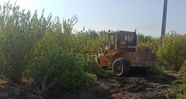 ۳ هکتار از بستر رودخانه سنگی رودان رفع تصرف شد