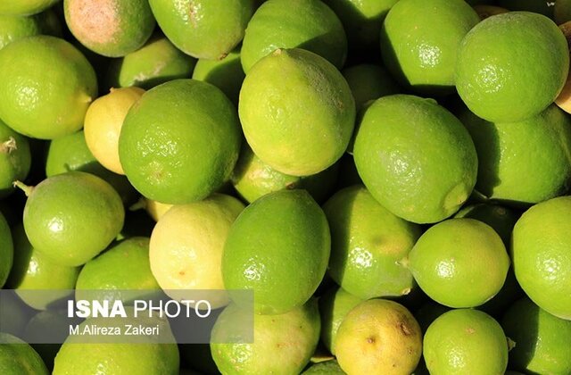 سازمان‌های بیمه‌ای شجاعت بیمه کردن باغات و اراضی کشاورزی را ندارند