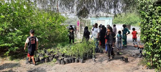 آغاز توزیع۲۰۰۰ نهال به شهروندان بندرعباسی در هفته درختکاری
