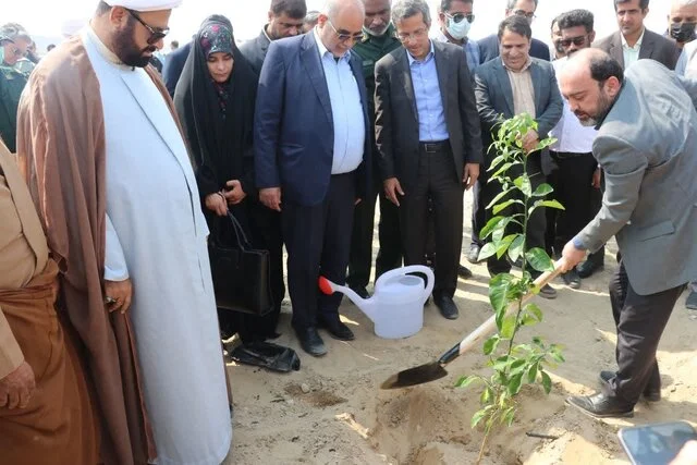 زنجیره درختان اکالیپتوس در هرمزگان توسعه مییابد