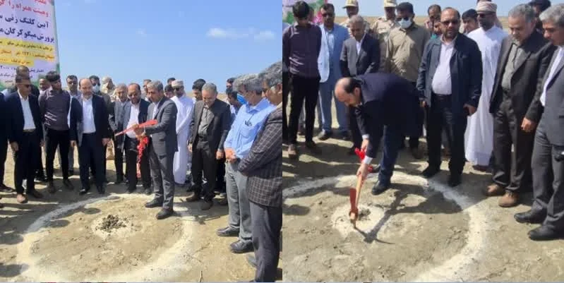  کلنگ زنی مجتمع پرورش میگو دو هزار هکتاری کرگان میناب