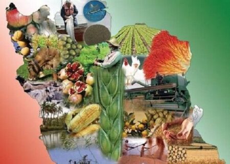 آخرین فرصت دستگاه‌های مختلف برای ارائه نظر در خصوص سند امنیت غذایی کشور