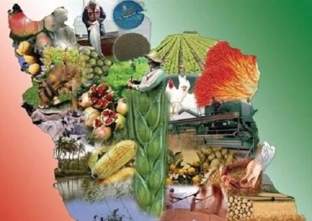 آخرین فرصت دستگاه‌های مختلف برای ارائه نظر در خصوص سند امنیت غذایی کشور