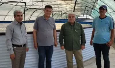 ایجاد نرسری ، حوضچه ضدعفونی و اصلاح آب لازمه تولید ایمن و کم خطر میگوی پرورشی