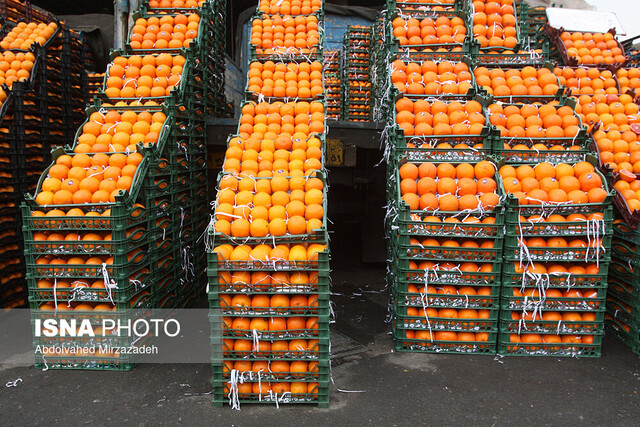 برپایی نمایشگاه عرضه محصولات کشاورزی و کالاهای اساسی در بندرعباس