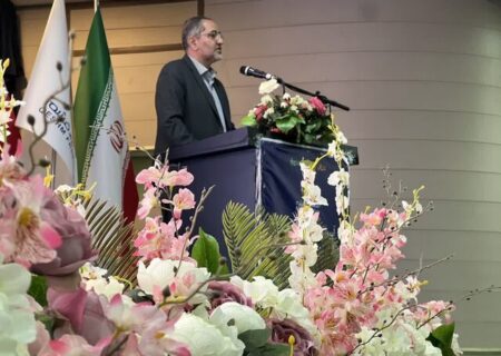 قشم نیازمند سخنگو برای کمک به حل مشکلاتش در مرکز کشور دارد