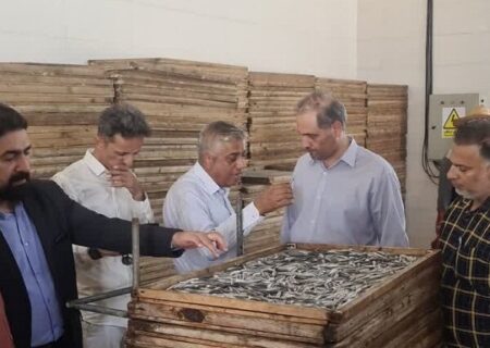 مدیرکل امور صید و صیادی سازمان شیلات ایران:
                                قشم یکی از ظرفیت های مهم شیلاتی کشور است