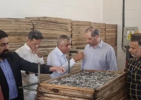 مدیرکل امور صید و صیادی سازمان شیلات ایران:
                                قشم یکی از ظرفیت های مهم شیلاتی کشور است