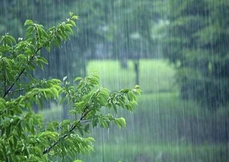 موج بارشی در هرمزگان چه تأثیری دارد؟