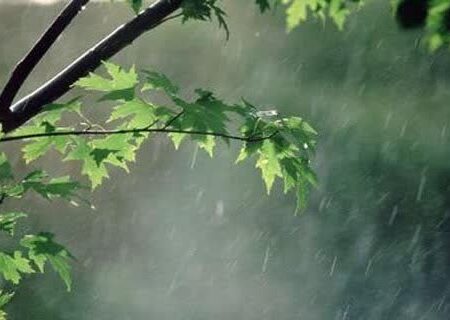 کارشناس هواشناسی استان هرمزگان خبرداد
                                احتمال وقوع رگبار پراکنده باران و رعد و برق در هرمزگان