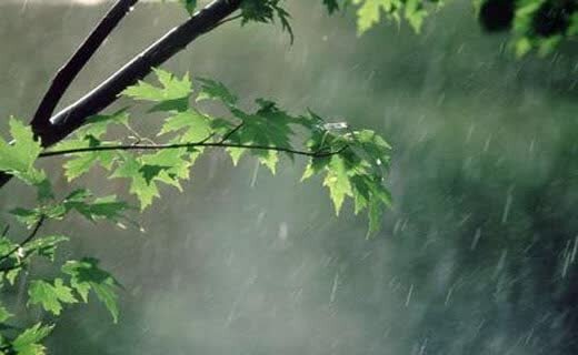 کارشناس هواشناسی استان هرمزگان خبرداد
                                احتمال وقوع رگبار پراکنده باران و رعد و برق در هرمزگان