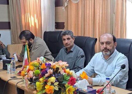 استاندار هرمزگان:
                                جاسک در حال تبدیل شدن به منطقه‌ای نفتی است