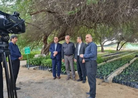 تولید ۲۵۰ میلیون نهال در راستای اجرای طرح نهضت مردمی کاشت یک میلیارد درخت در دولت سیزدهم