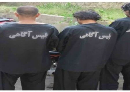 طرح ضربتی مقابله با سرقت ، با دستگیری ۶۷ سارق در هرمزگان
