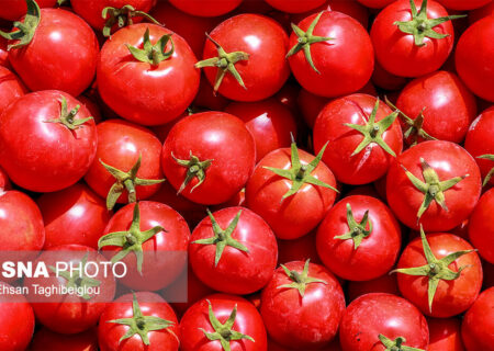 اعطاء مجوز موقت به عرضه‌کنندگان عمده سه محصول لیمو، گوجه فرنگی و پیاز در بندرعباس