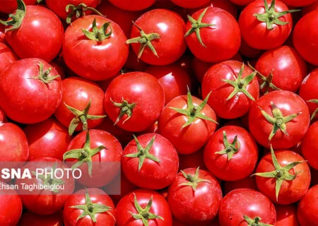 اعطاء مجوز موقت به عرضه‌کنندگان عمده سه محصول لیمو، گوجه فرنگی و پیاز در بندرعباس