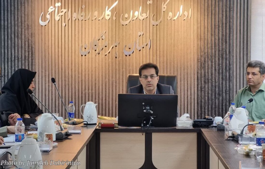 افتتاح یک طرح ملی در شهرستان پارسیان / پیروی تمام شرکت های بزرگ از طرح طبقه بندی مشاغل تا پایان امسال