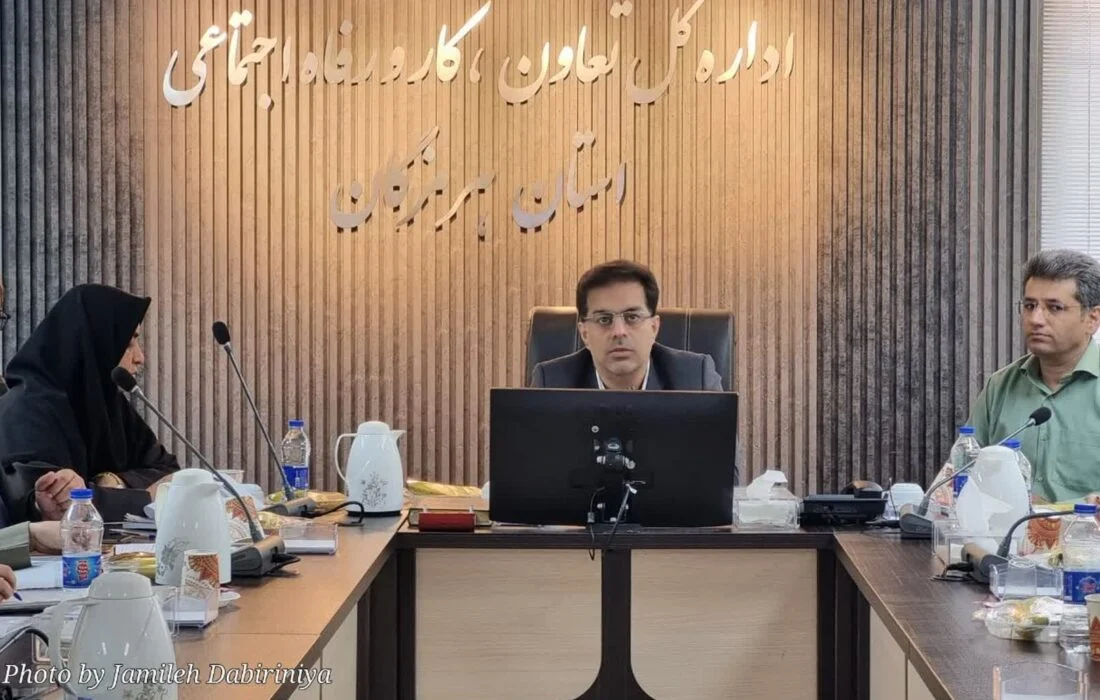 افتتاح یک طرح ملی در شهرستان پارسیان / پیروی تمام شرکت های بزرگ از طرح طبقه بندی مشاغل تا پایان امسال