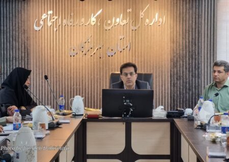 افتتاح یک طرح ملی در شهرستان پارسیان / پیروی تمام شرکت های بزرگ از طرح طبقه بندی مشاغل تا پایان امسال