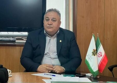 مدیر شعب بانک کشاورزی هرمزگان:
                                ۳۸۰ میلیارد ریال تسهیلات فرزندآوری در هرمزگان پرداخت شد