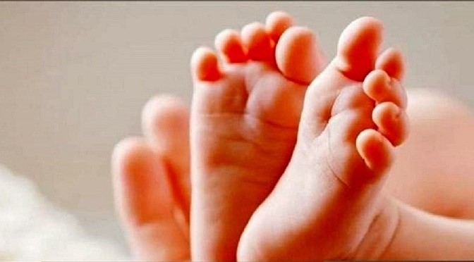 تسهیلات فرزند آوری در هرمزگان