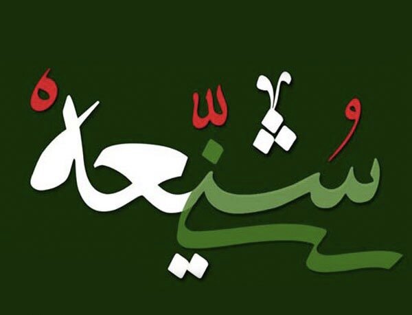 سرپرست دانشگاه مذاهب اسلامی بندرعباس:
                                همایش تقریب مذاهب اسلامی در بندرعباس برگزار شد