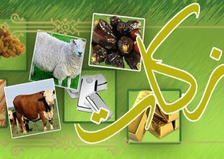 مدیرکل کمیته امداد استان هرمزگان اعلام کرد:
                                پرداخت ۳۳.۸ میلیارد تومان زکات توسط نیکوکاران هرمزگان