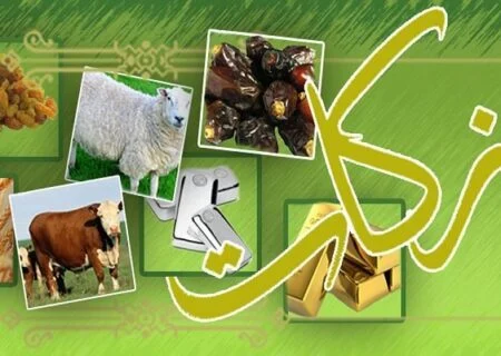 مدیرکل کمیته امداد استان هرمزگان اعلام کرد:
                                پرداخت ۳۳.۸ میلیارد تومان زکات توسط نیکوکاران هرمزگان