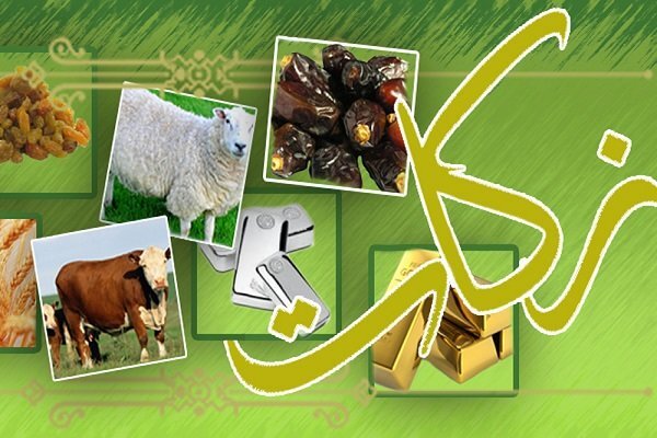 مدیرکل کمیته امداد استان هرمزگان اعلام کرد:
                                پرداخت ۳۳.۸ میلیارد تومان زکات توسط نیکوکاران هرمزگان