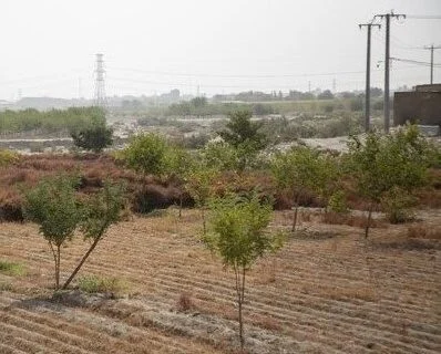 انعقاد تفاهم نام نامه همکاری منابع طبیعی با آموزش و پرورش هرمزگان