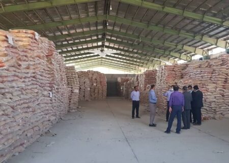 مدیرکل استانداد هرمزگان:
                                زمان بازرسی کیفیت برنج‌های وارداتی به حداقل رسید