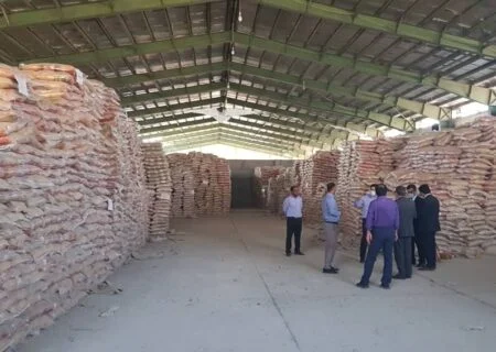 مدیرکل استانداد هرمزگان:
                                زمان بازرسی کیفیت برنج‌های وارداتی به حداقل رسید